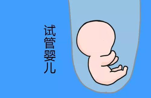 三代试管供卵机构男孩